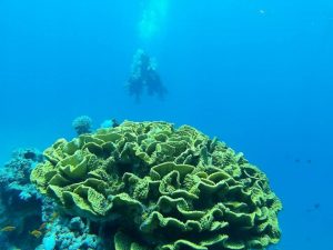 Aqaba, scuba