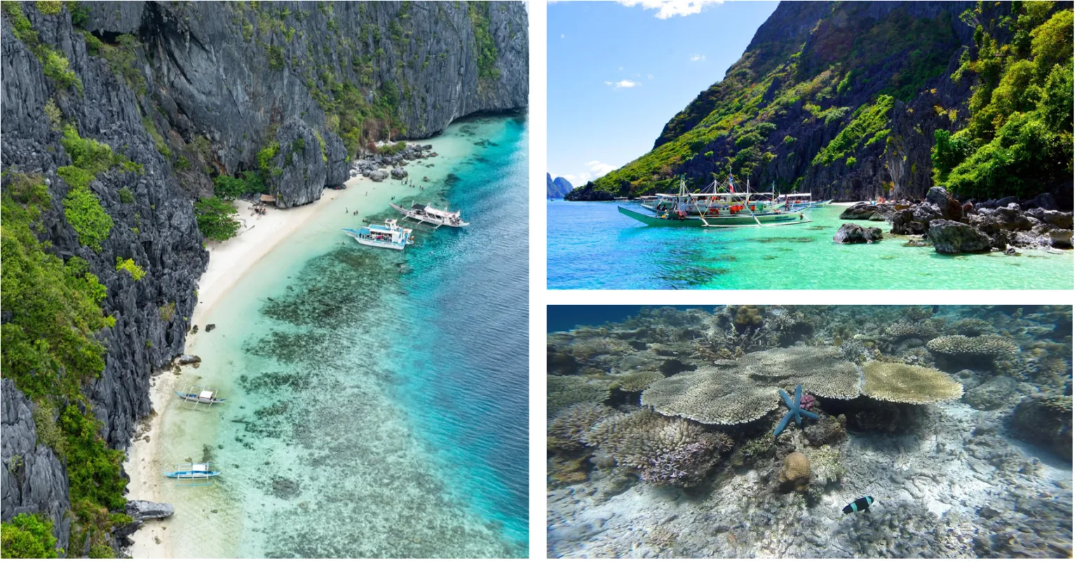 Filipine in stil V500 de ziua indragostitilor
