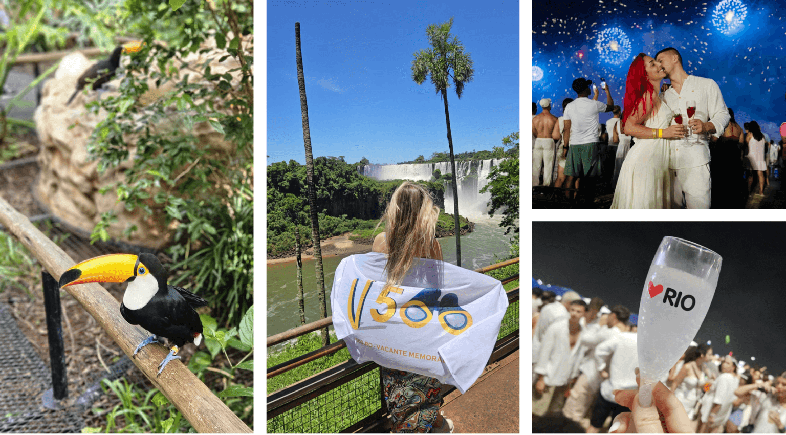 Brazilia (Rio si Iguazu) de Anul Nou
