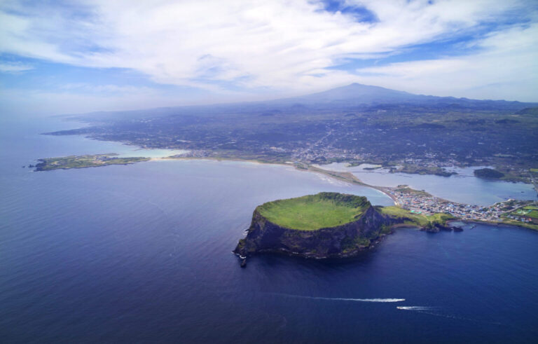 Ziua 8