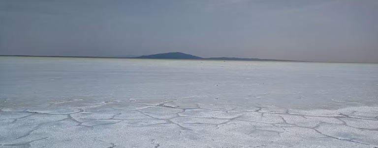 Ziua 16