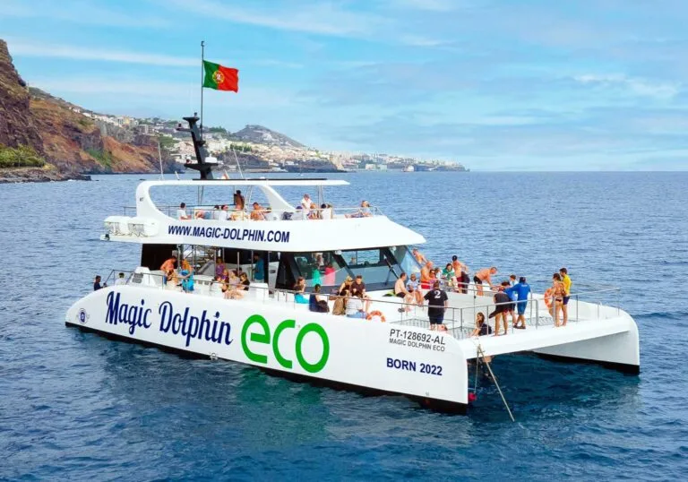 Ziua 5