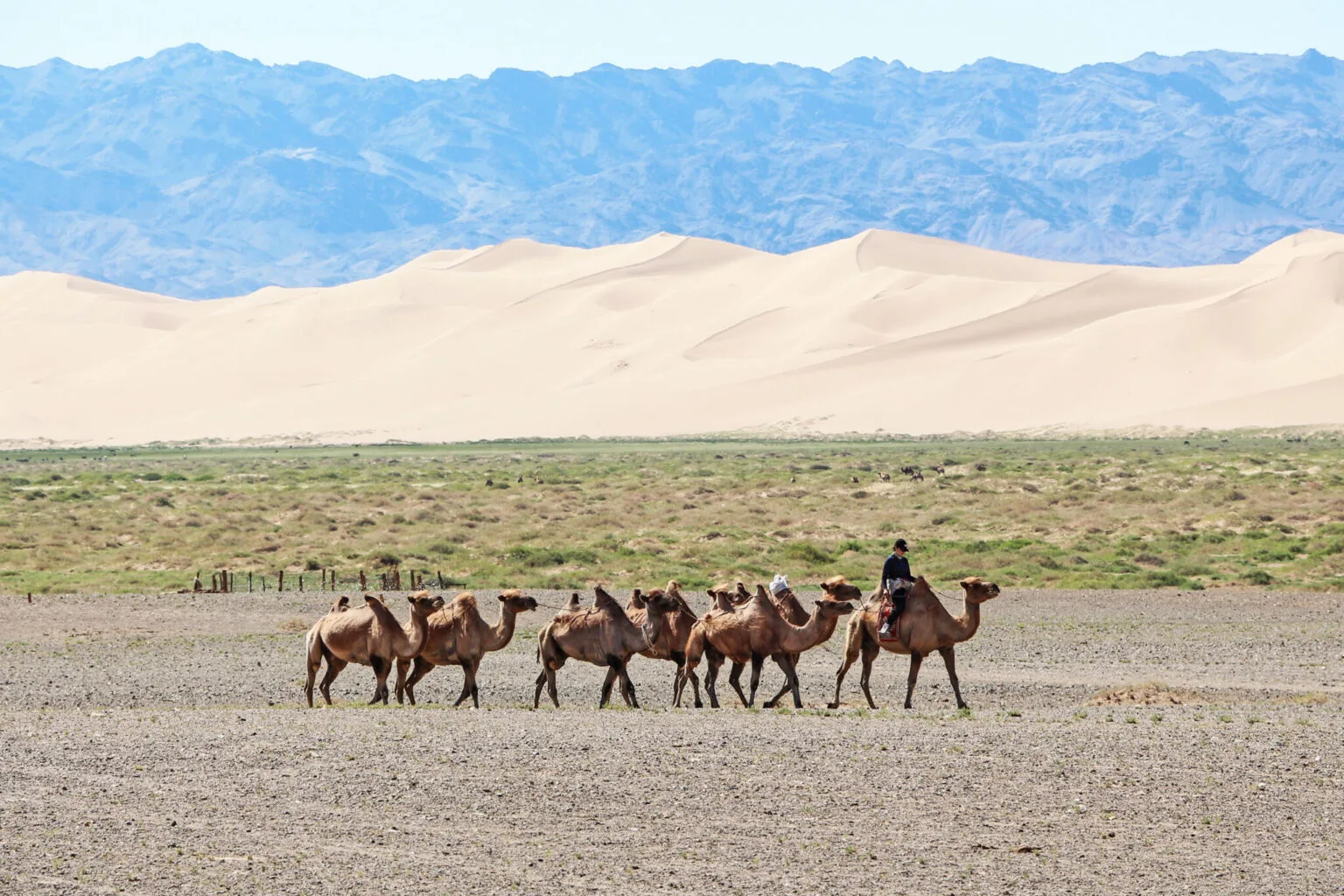 Mongolia si Festivalul Naadam in iulie