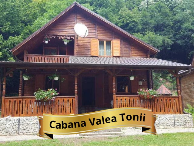 Cabana Valea Tonii