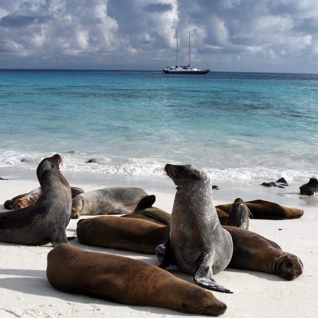 Ecuador si Galapagos in februarie