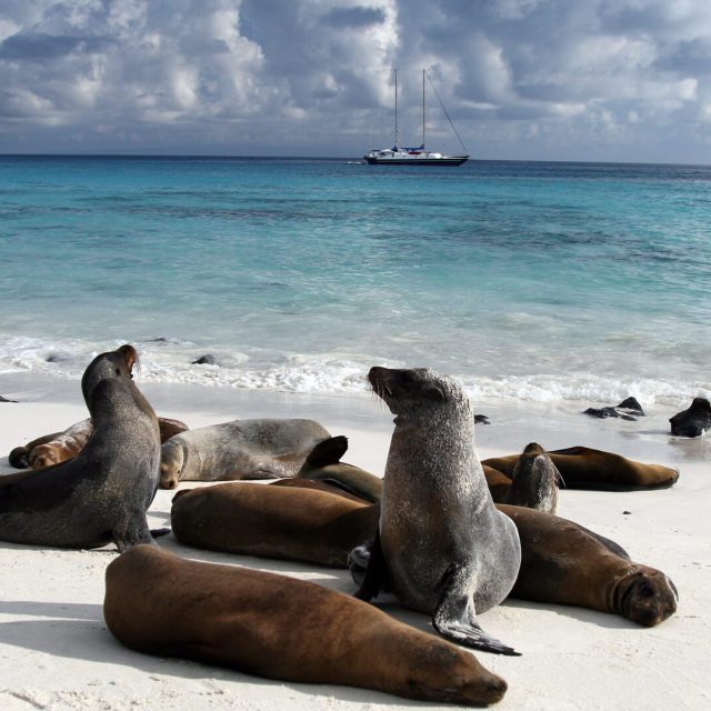 EPUIZAT Ecuador si Galapagos in februarie