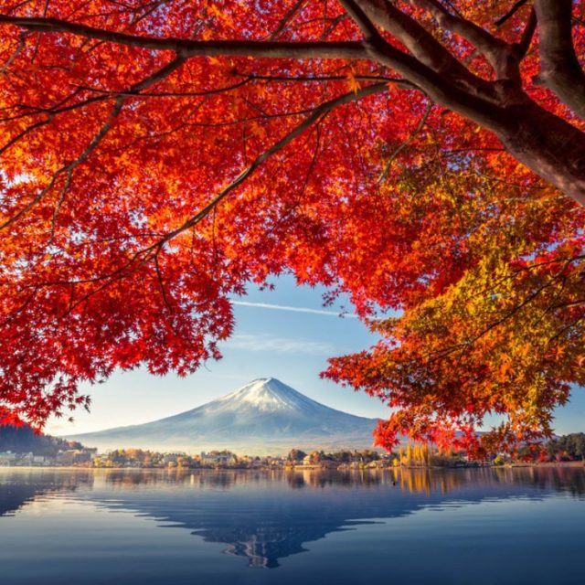 Japonia de toamna in stil V500