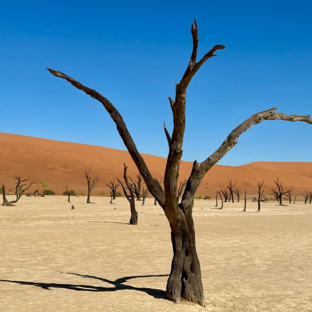 Namibia in februarie