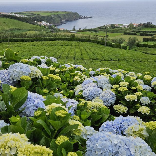 Azore, circuit in 3 insule in August