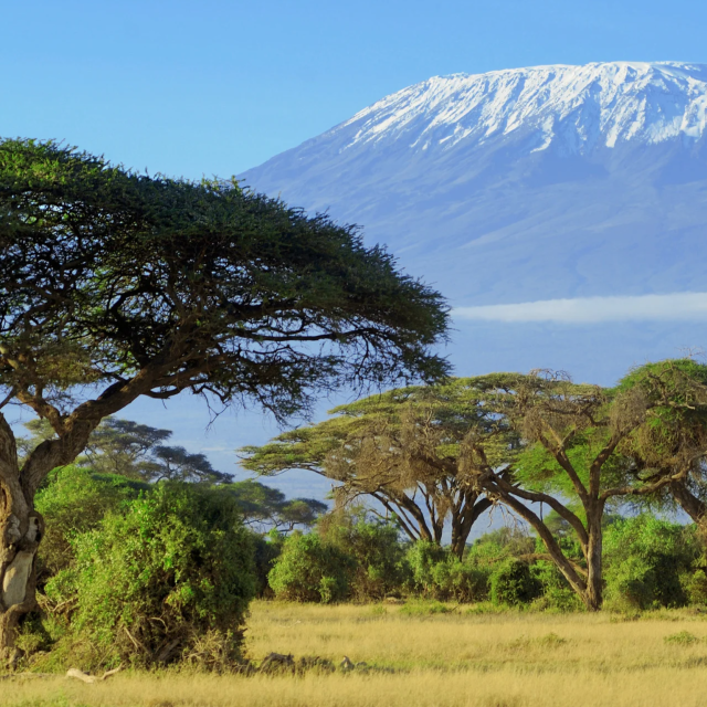 Ascensiune pe Kilimanjaro