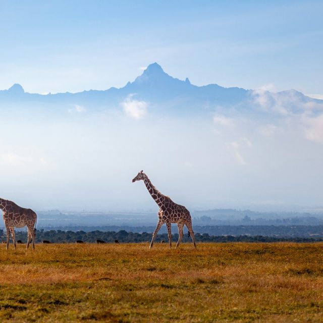EPUIZAT Kenya, in stilul V500