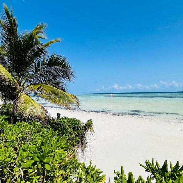 Zanzibar de ziua indragostitilor