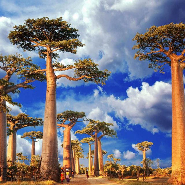Circuit in Madagascar, o data in viata